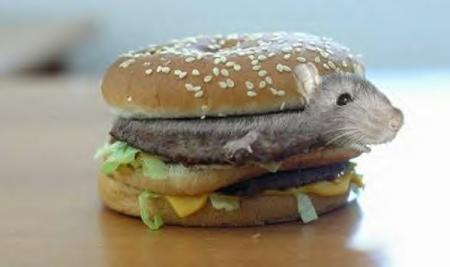 Voila enfin le mouse-burger