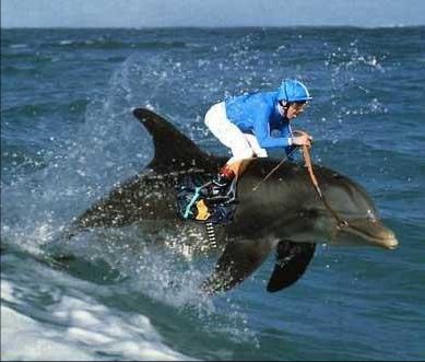 Course Nautique
